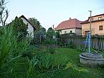 Třibřichy